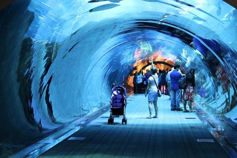 Dubai Mall Aquarium & Underwater Zoo.