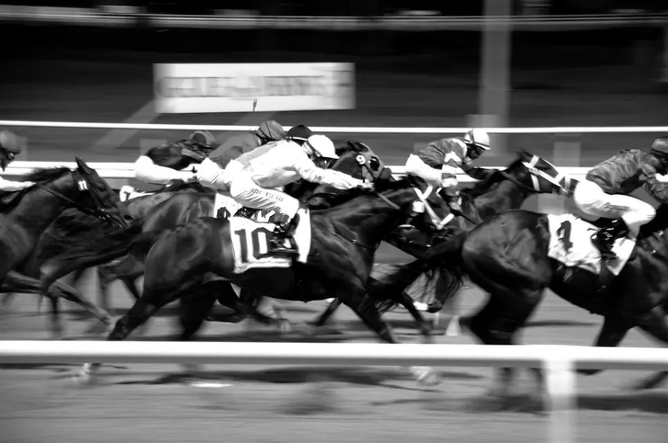 Horse racing during the Dubai World Cup